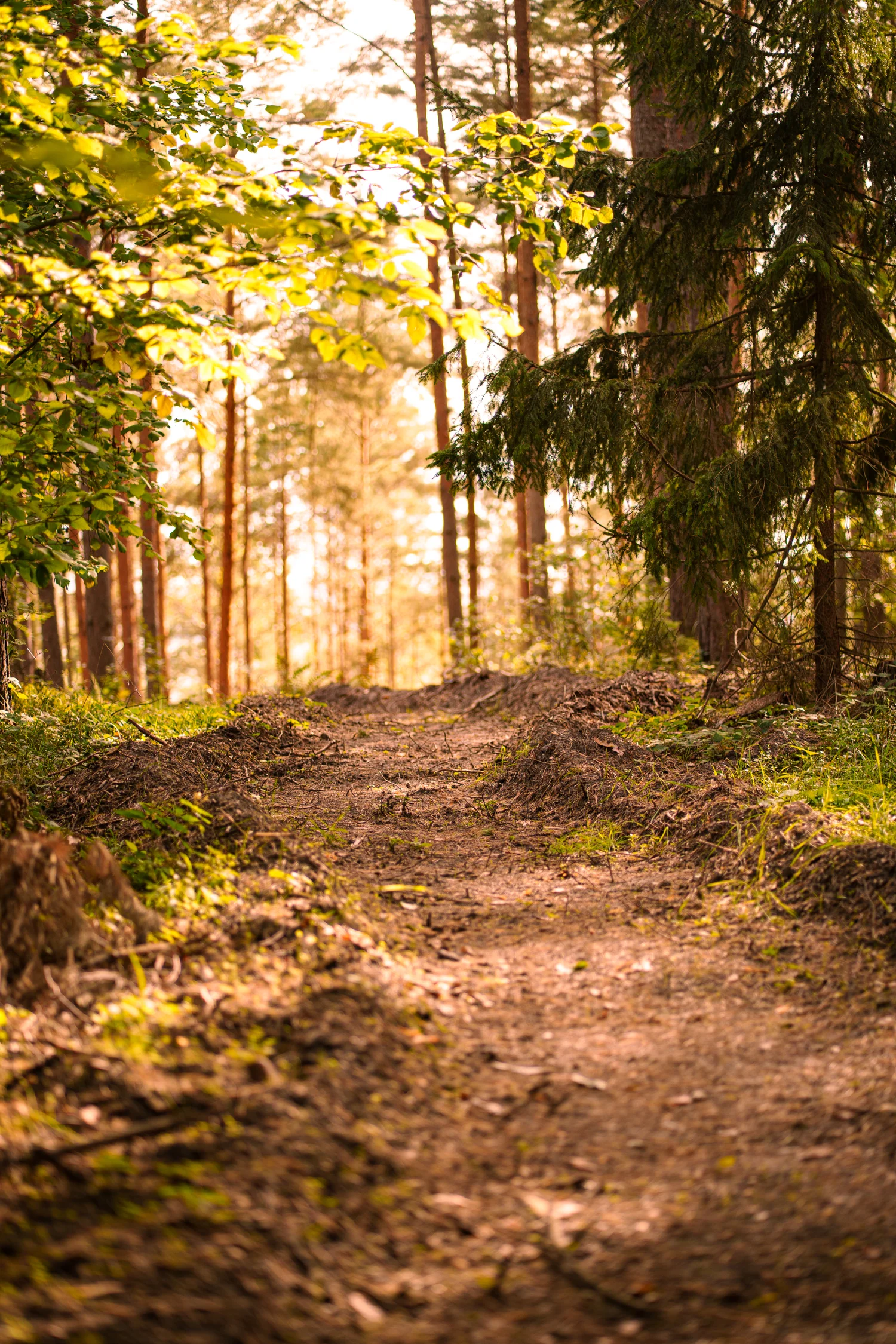 Moritz eingang – Trailparl Ratsberg Pößneck