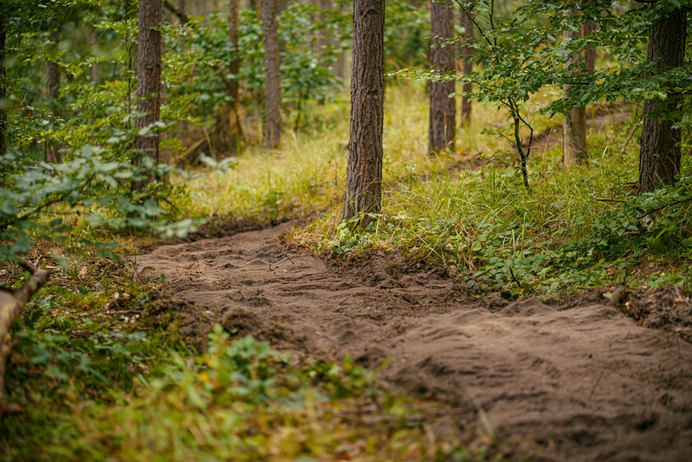 Trailbau Ratsberg PößneckDRV03653