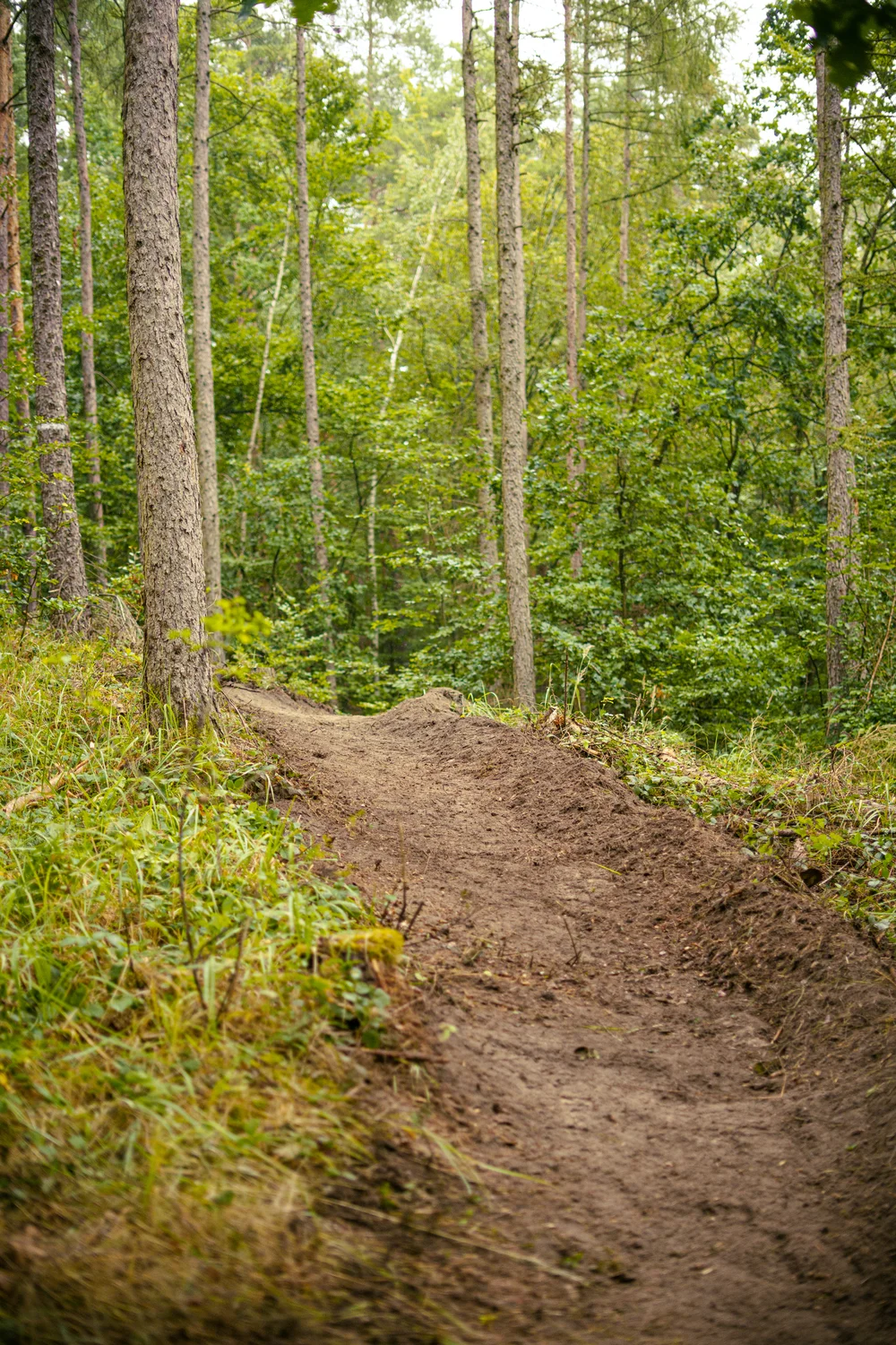 Trailbau Ratsberg PößneckDRV03756