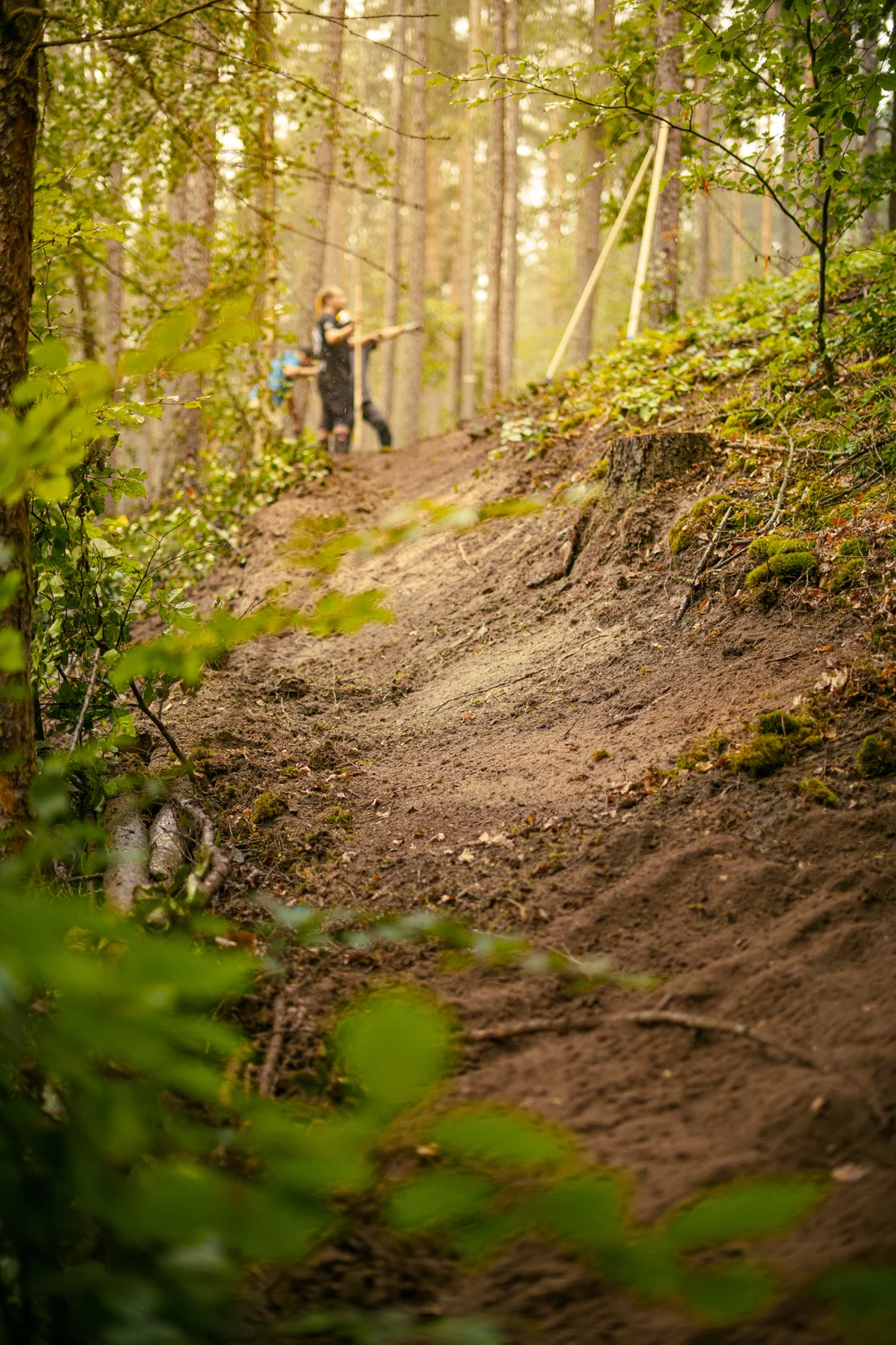 Trailbau Ratsberg PößneckDRV03824